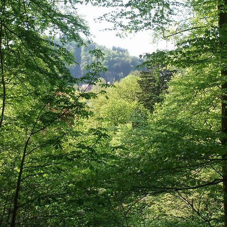 Pension/Bed And Breakfast Pangea Bad Lauterberg Exteriör bild