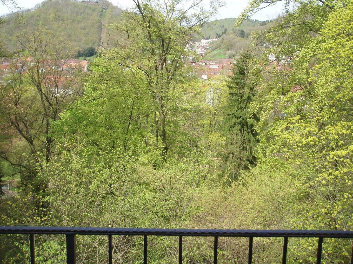 Pension/Bed And Breakfast Pangea Bad Lauterberg Exteriör bild